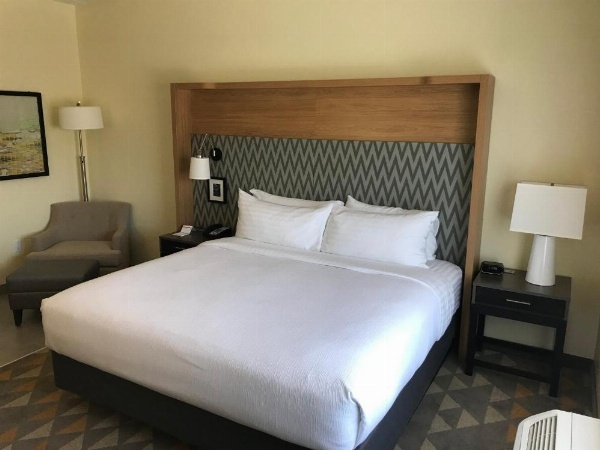 Holiday Inn & Suites Arden-Asheville Airport image 15