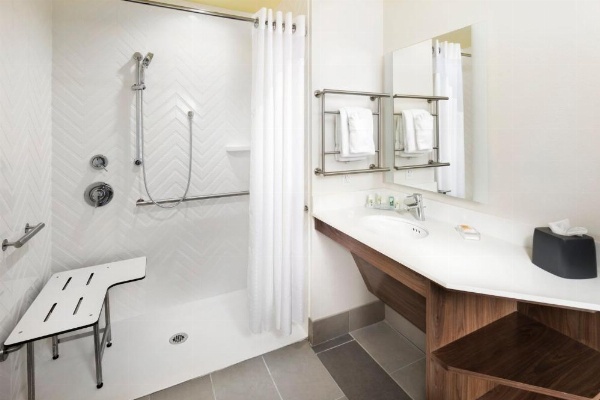 Holiday Inn & Suites Arden-Asheville Airport image 9